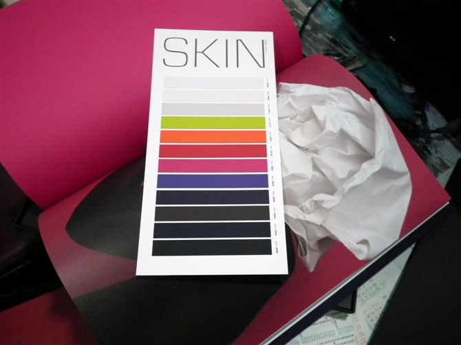 skin色样1